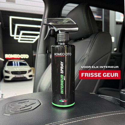 INTERIEURSPRAY MATT